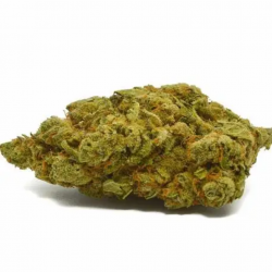 Fleur CBD KUSHER KUSH