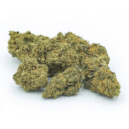 FLEUR CBD TROPIC FRUIT